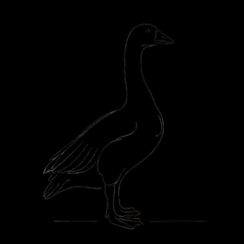 Disegno di un'oca